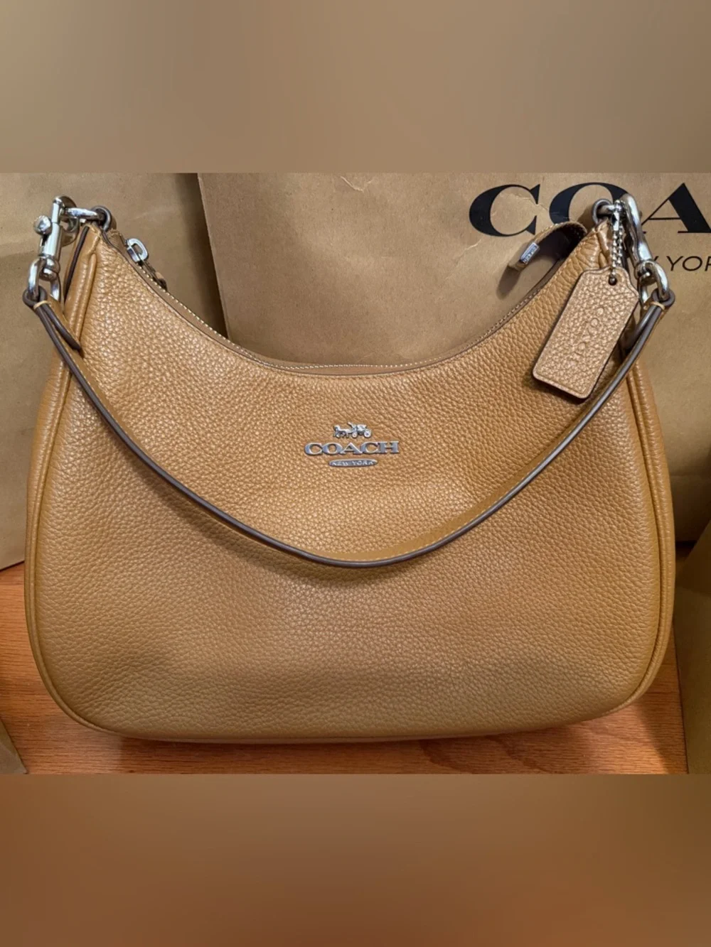 Teri Hobo Bag - Picture 4 of 7
